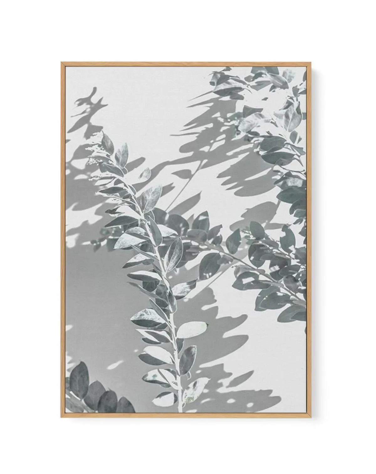 Abstract Leaves II | Framed Canvas Art Print