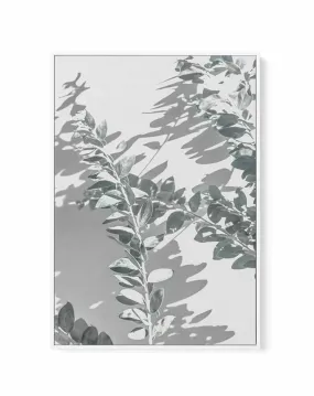 Abstract Leaves II | Framed Canvas Art Print