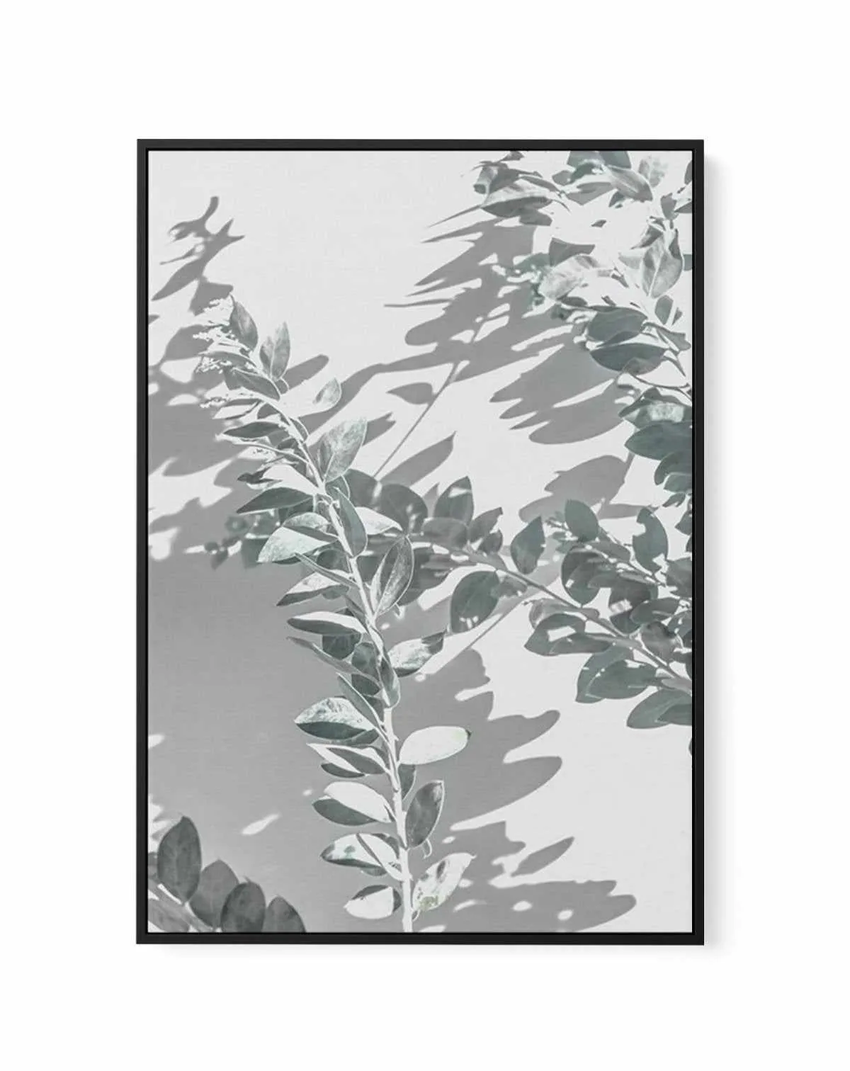 Abstract Leaves II | Framed Canvas Art Print