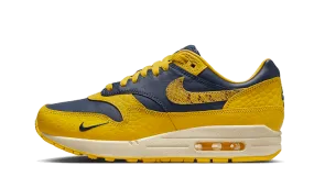 Air Max 1 CO.JP Michigan