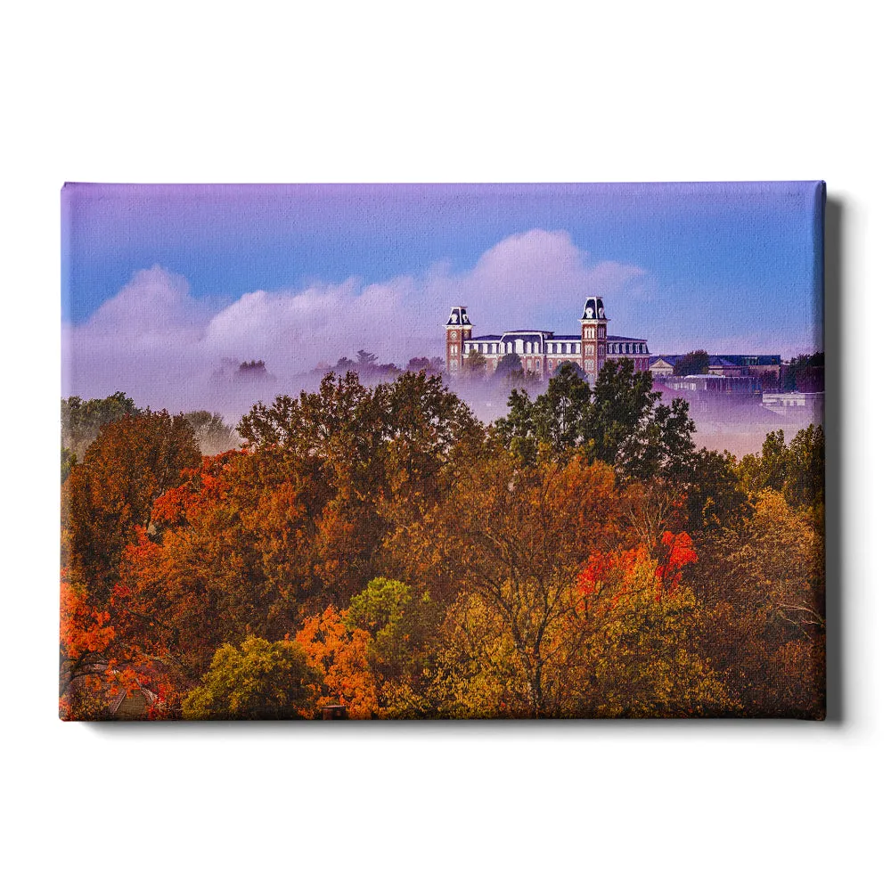 Arkansas Razorbacks - Foggy Foliage