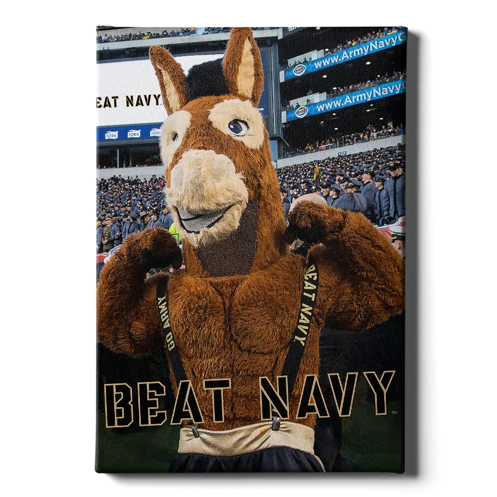 Army West Point Black Knights - Beat Navy Mule