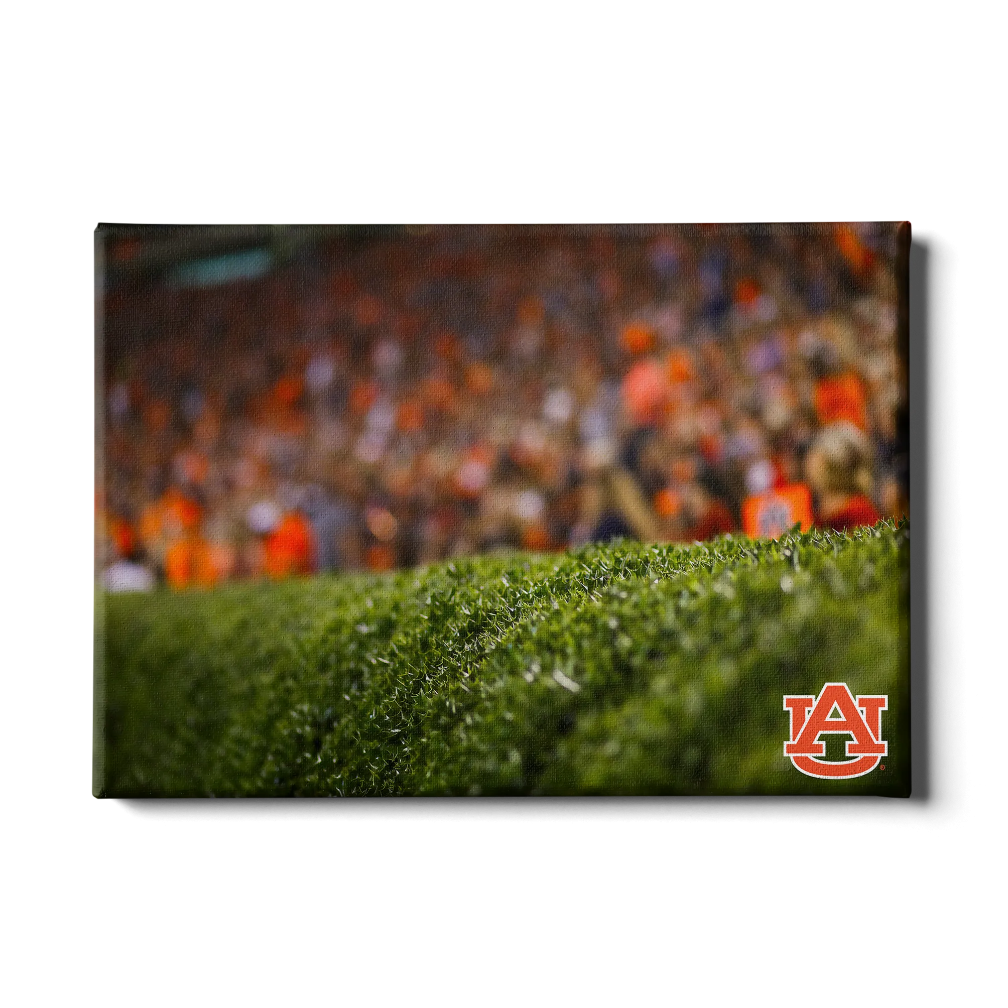 Auburn Tigers - The Hedges