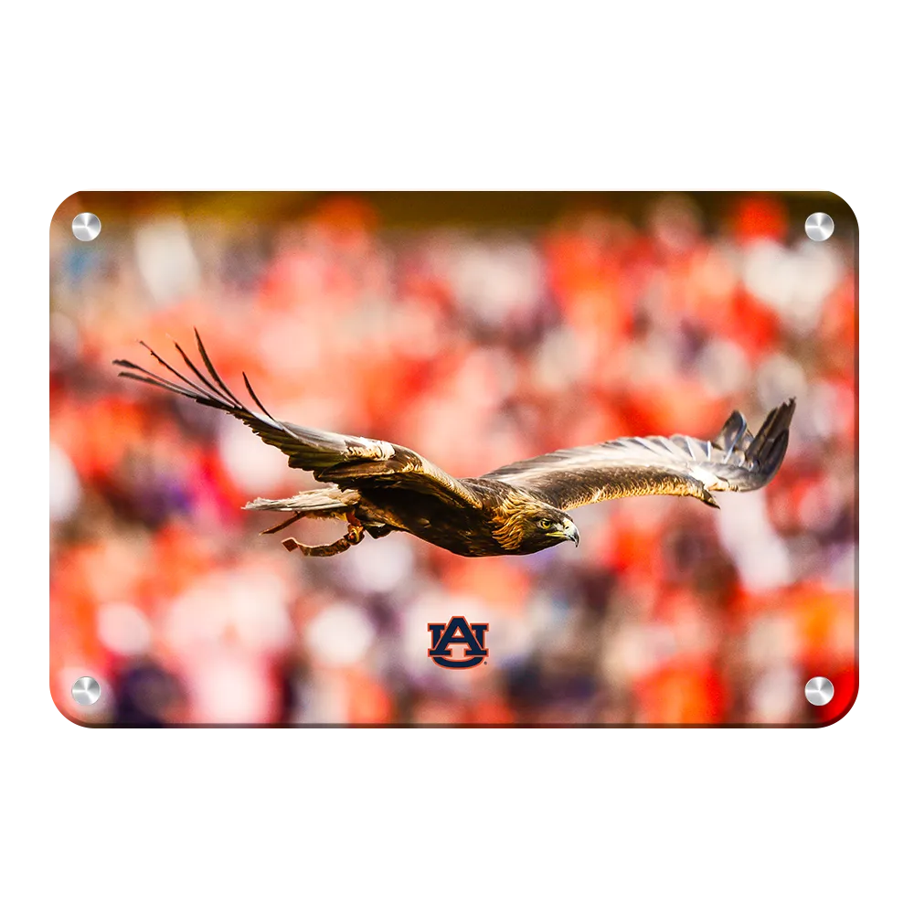 Auburn Tigers - War Eagle Flight