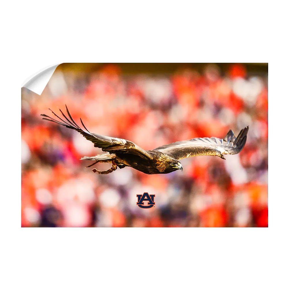 Auburn Tigers - War Eagle Flight