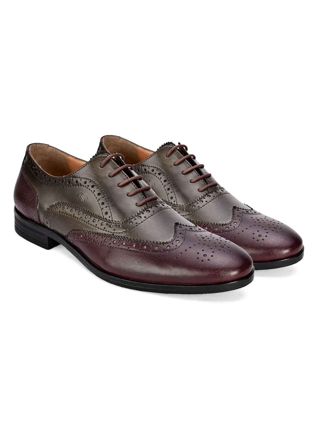 Cole Dual Tone Brogue Shoes