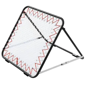 DS Adjustable Tchoukball Net and Frame