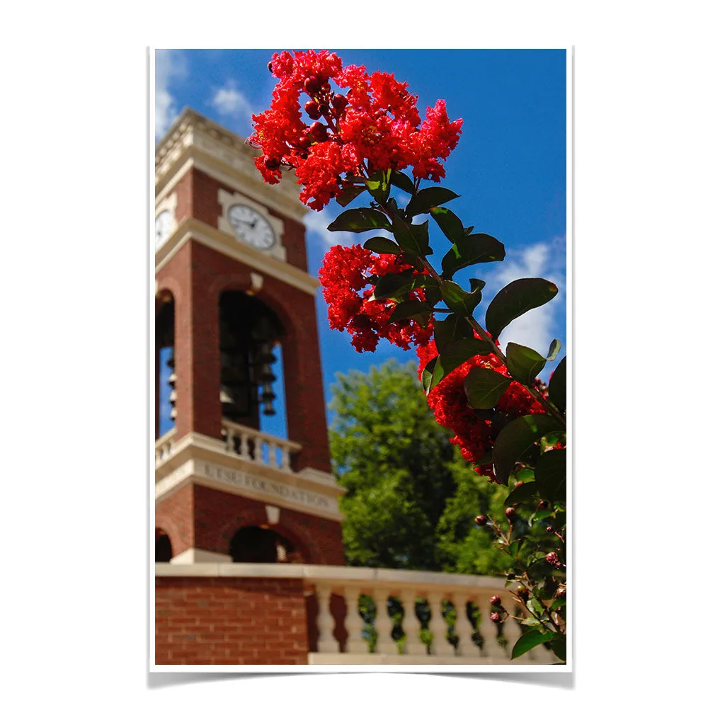 ETSU - Carillon Bloom