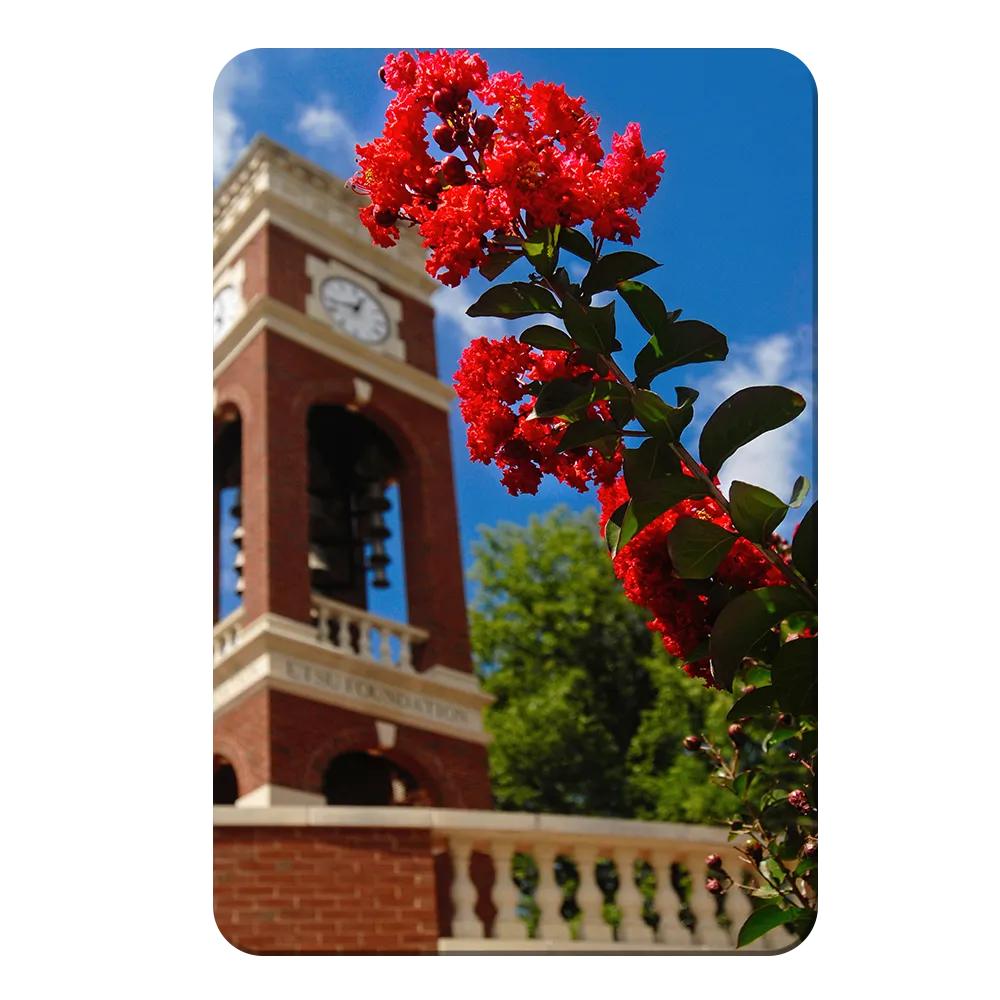 ETSU - Carillon Bloom