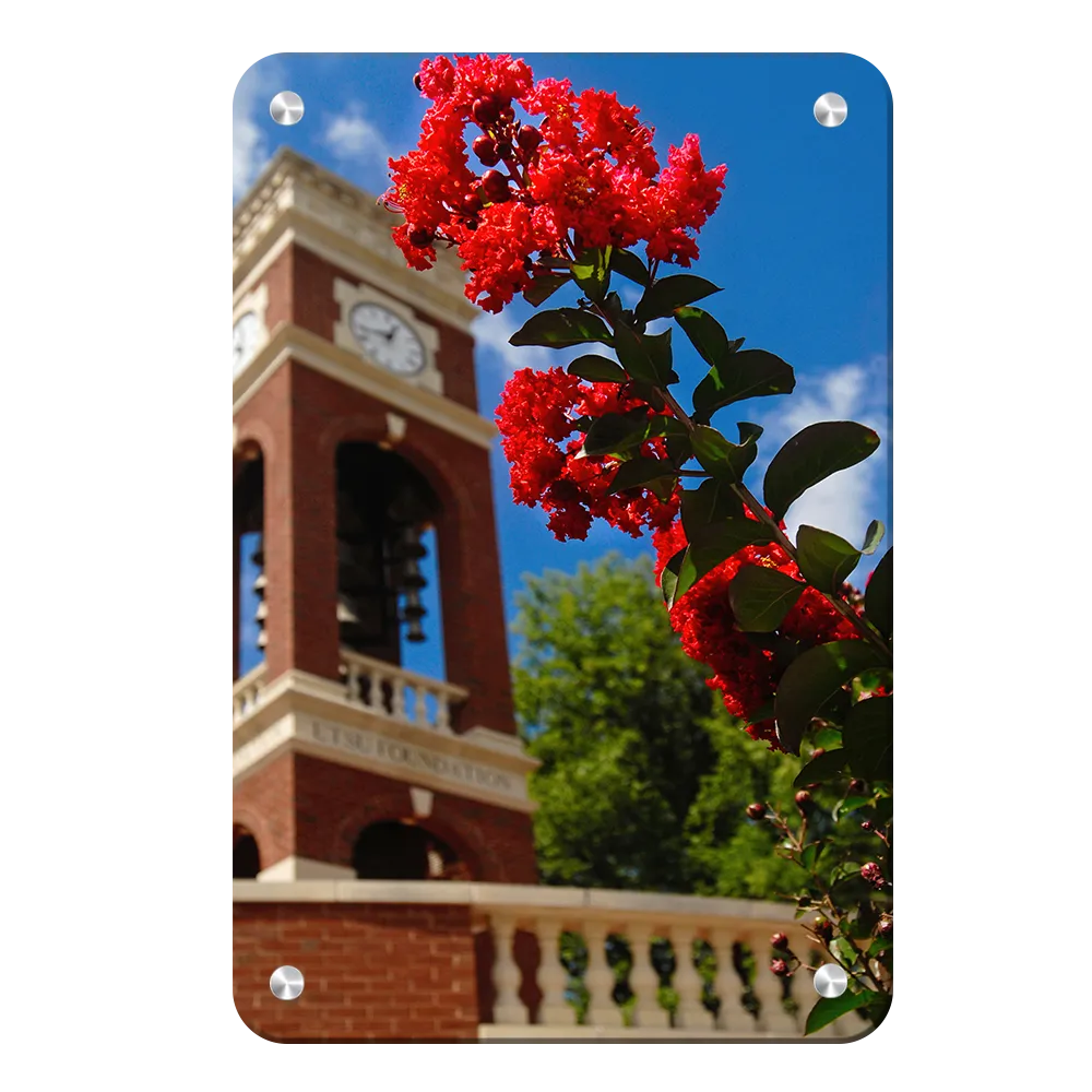 ETSU - Carillon Bloom