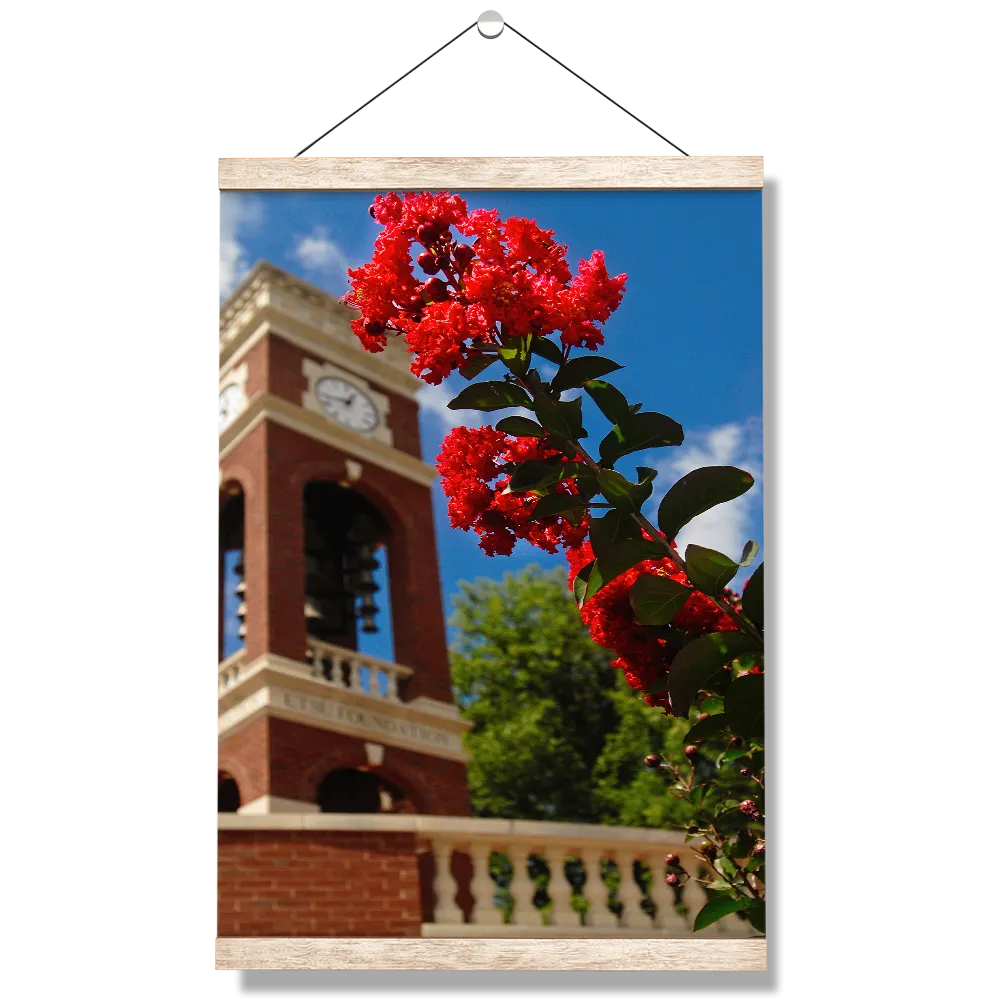 ETSU - Carillon Bloom