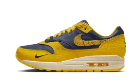 Nike Air Max 1 CO.JP Michigan