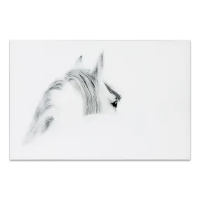 "Blanco Mare Horse" Frameless Free Floating Tempered Glass Panel Graphic Wall Art